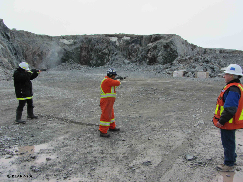 Bear Guard Training Bear Safety Andy McMullen's Bearwise