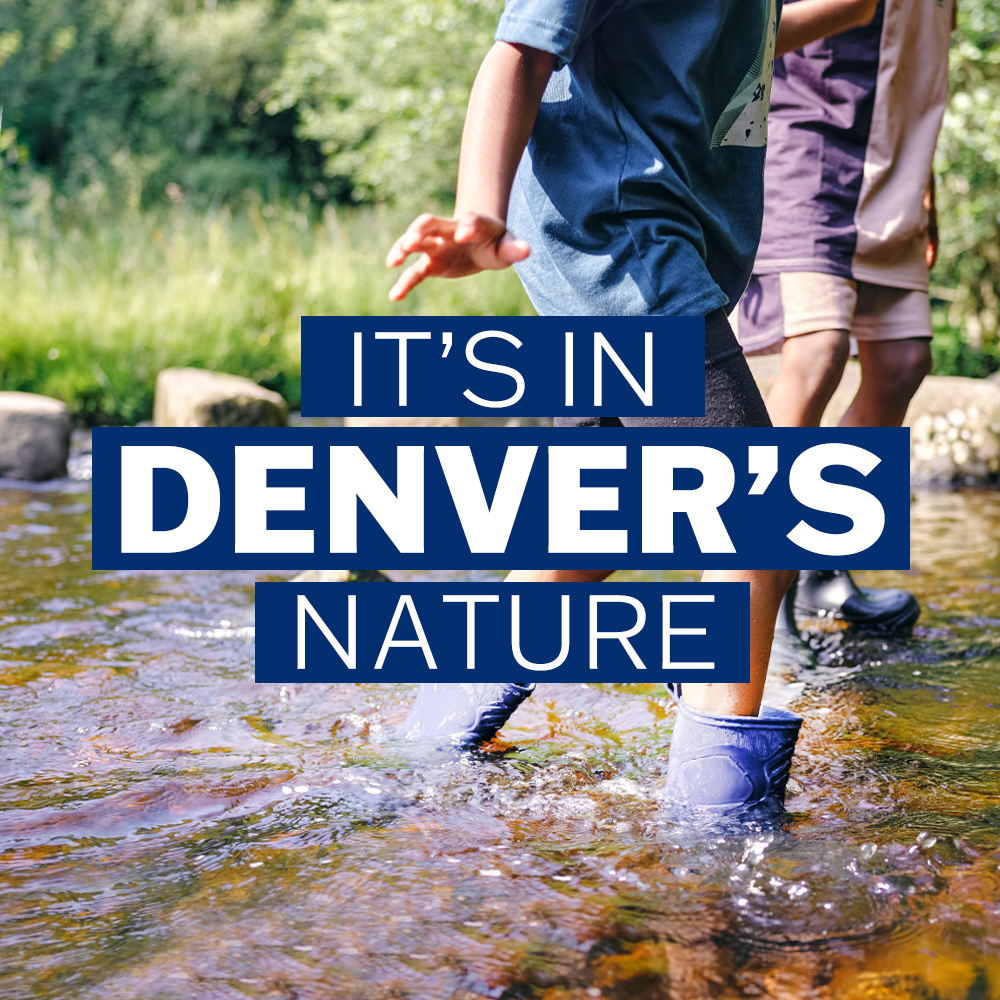 Water Conservation It's In Denver's Nature Be a Smart Ash