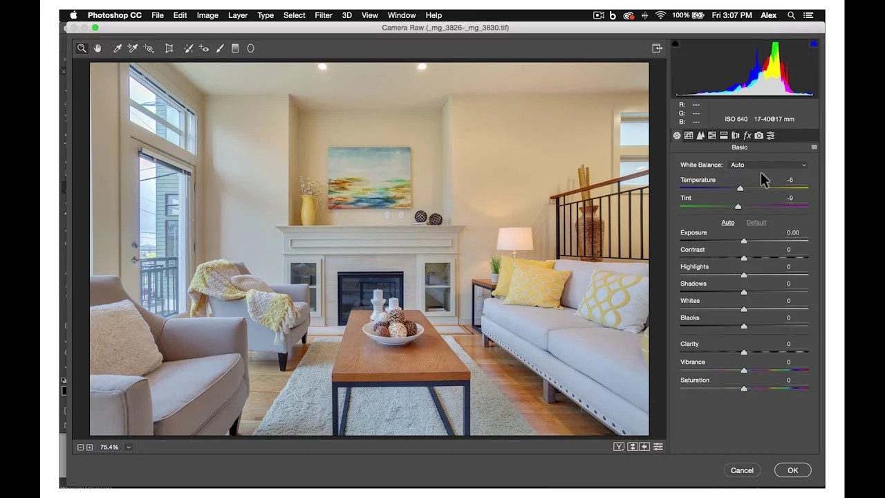 BeatColor Top 10 Amazing Plugin For Real Estate Photographer
