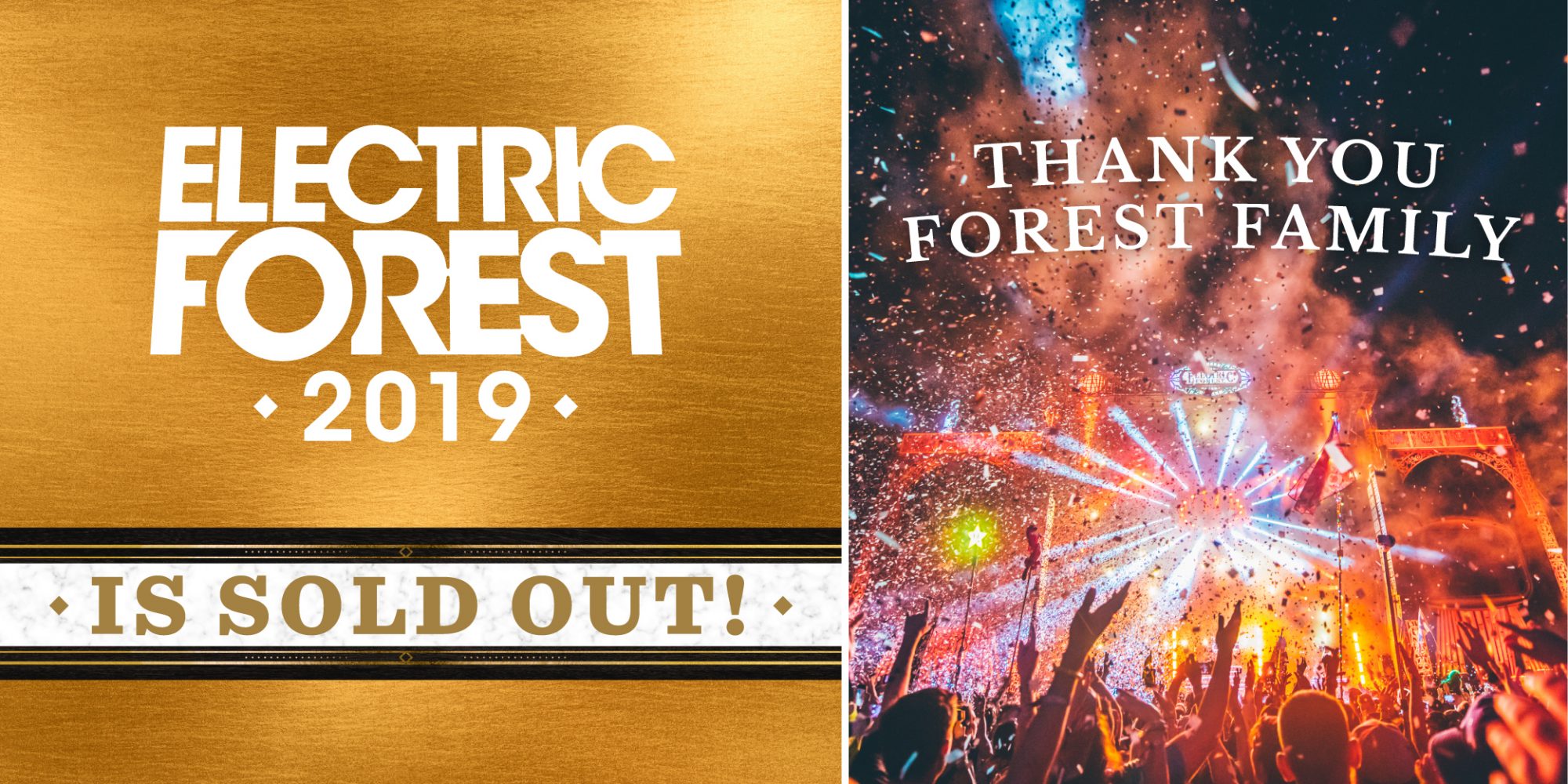 Se revela lineup del festival “Electric Forest” Beat Night MX