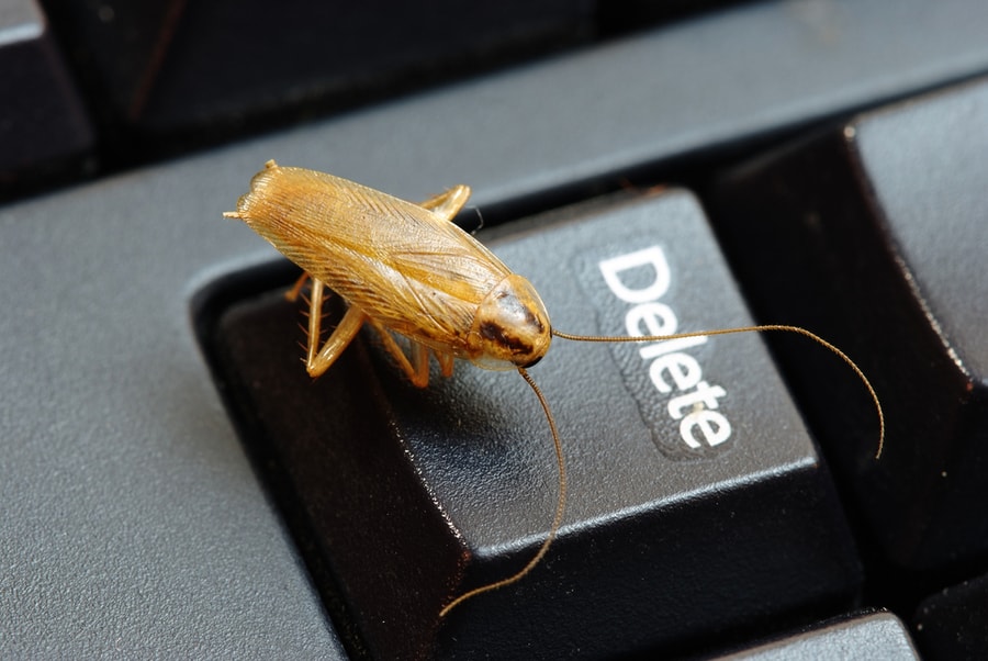How To Get Roaches Out of a TV BeatPests