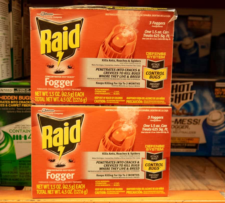 Why Do I See More Roaches After Bombing? BeatPests