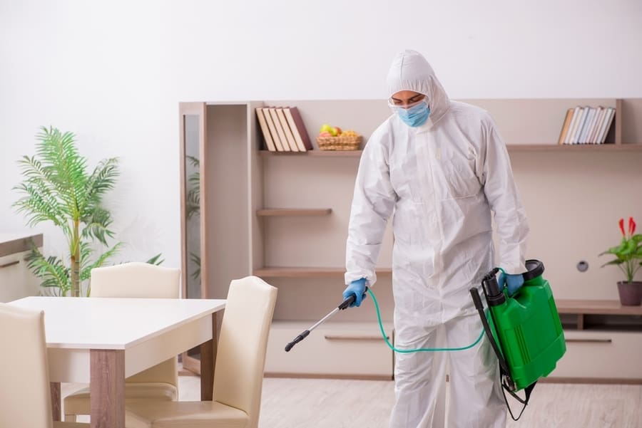 How To Keep Roaches Off Furniture BeatPests