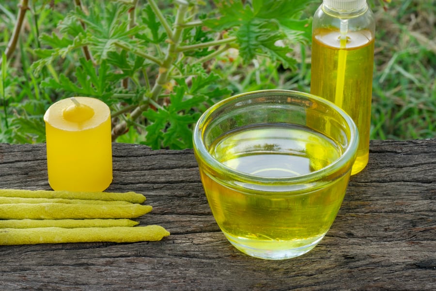 How To Repel Corn Flies BeatPests