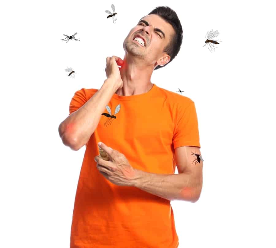 What Incense Repels Flies? BeatPests