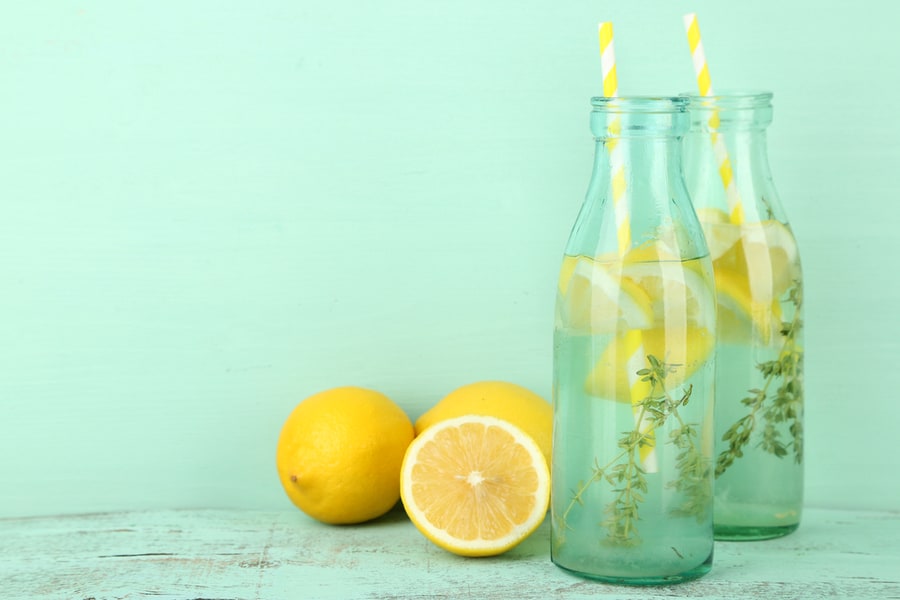 8 Scents You Can Spray for Plants To Repel Gnats BeatPests