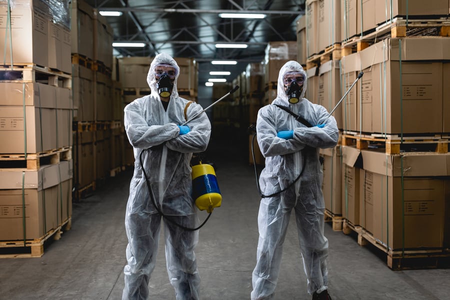 What Bugs Does Oregano Repel? BeatPests