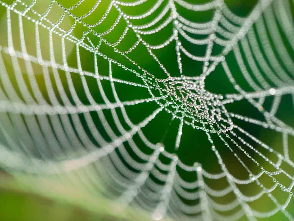 How To Keep Spiders Away from Patio Furniture BeatPests