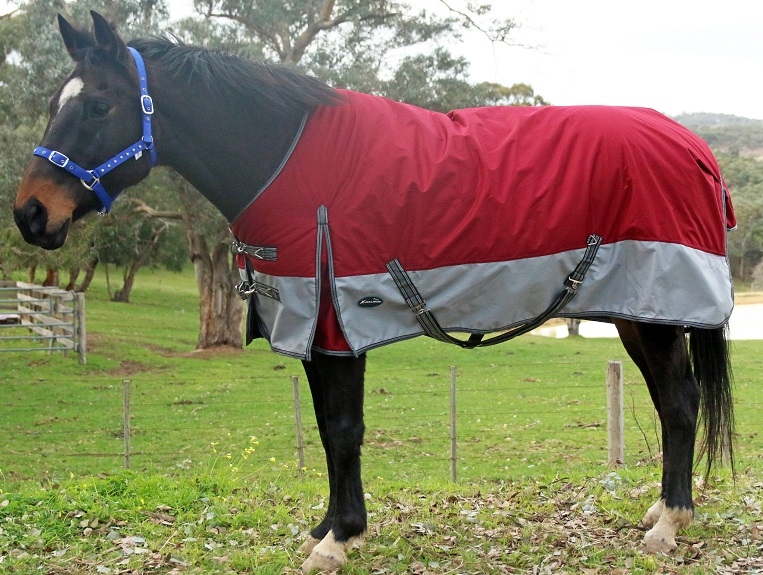 RUG XCALIBUR PADDOCK RUG 4'3