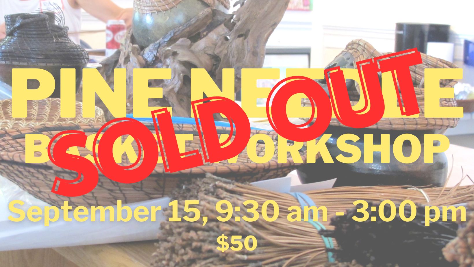 Adult Pine Needle Beaufort Historic Site