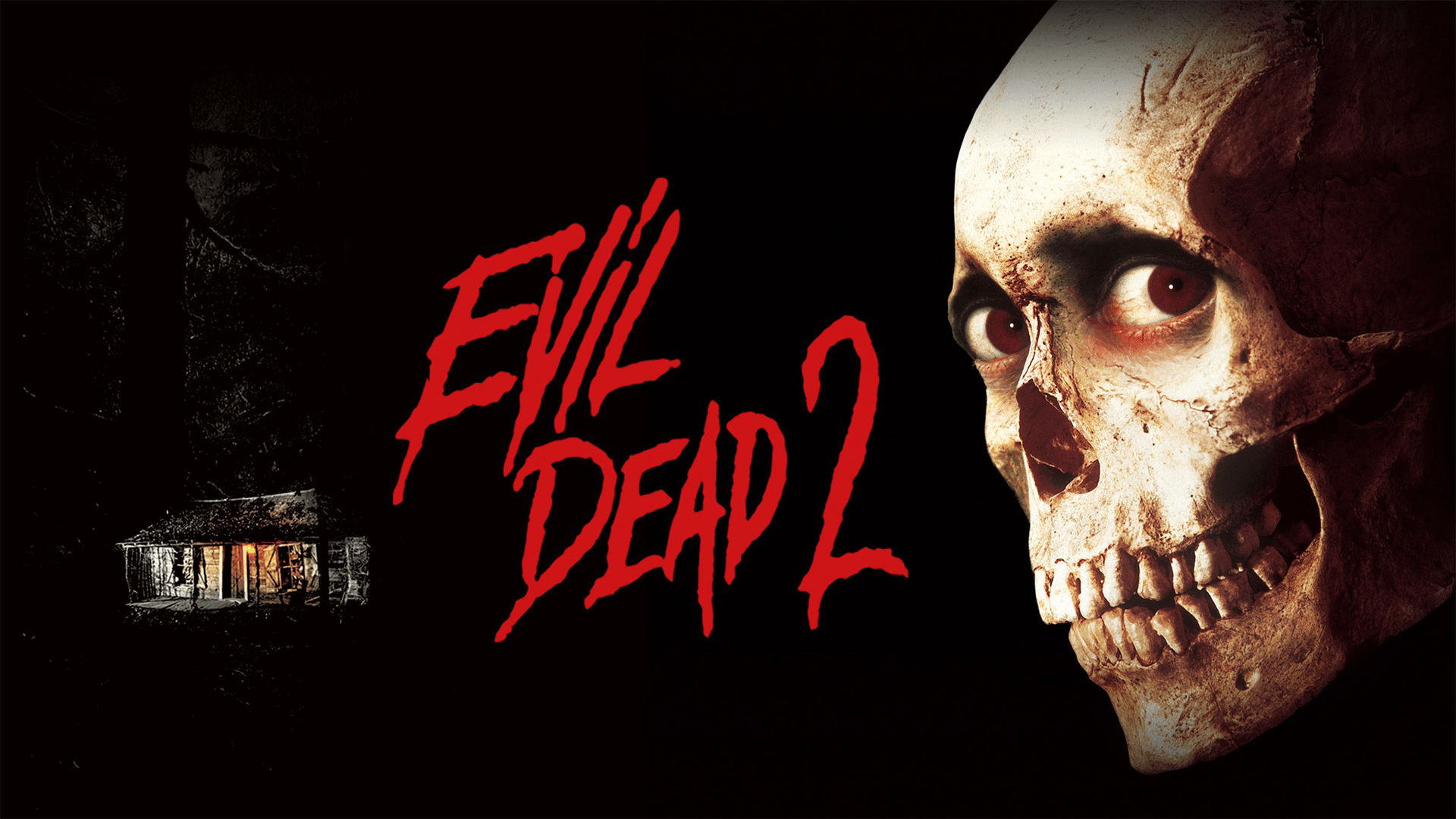 13 Nights Evil Dead 2
