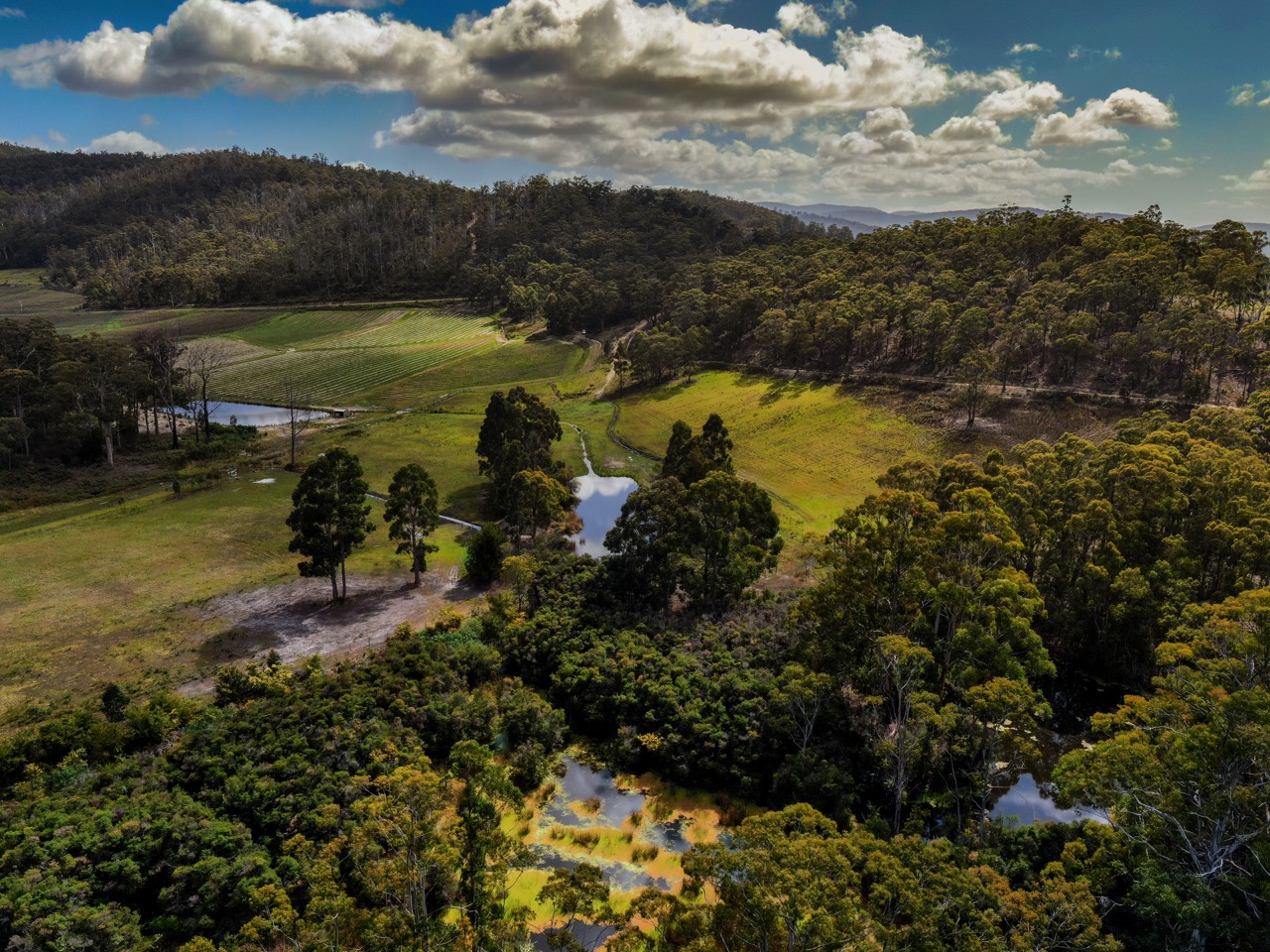 Farm Stay In Lymington TasmaniaBeaupre Farm