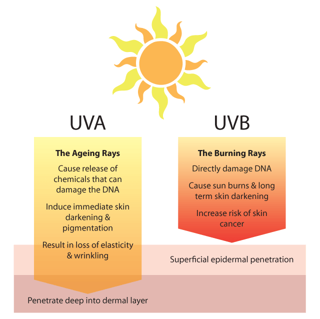 Sun Exposure and Skin Damage BeautéScience
