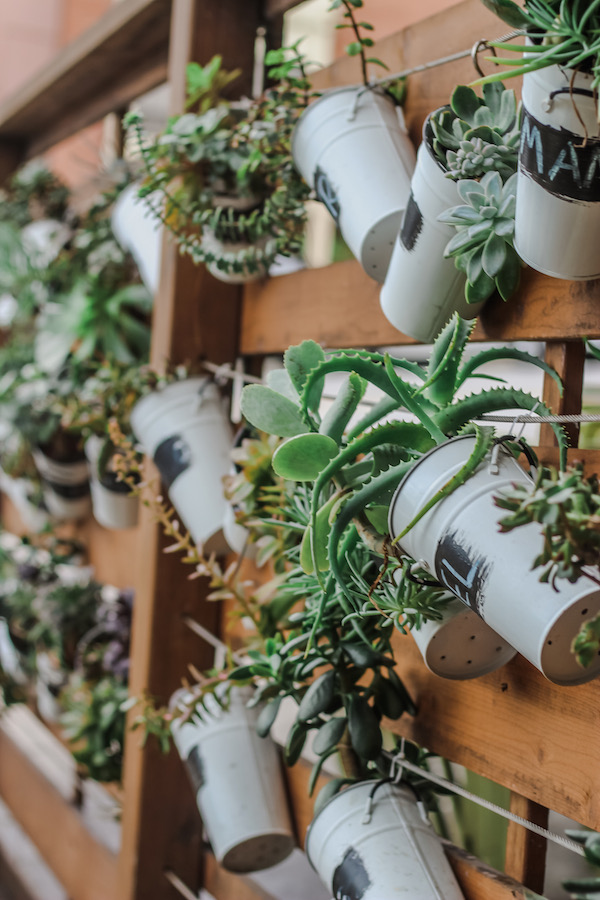 Dog Friendly Restaurant Guide to La Jolla Beautiful Detour