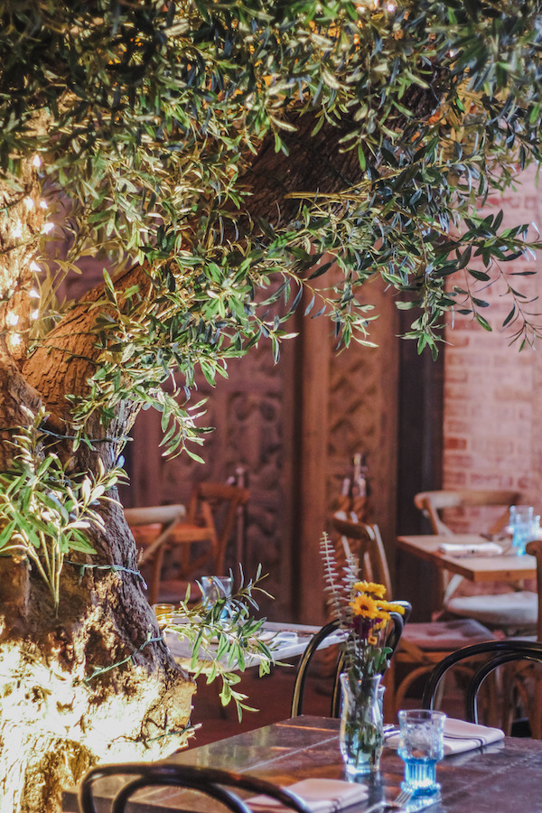 Dog Friendly Restaurant Guide to La Jolla Beautiful Detour