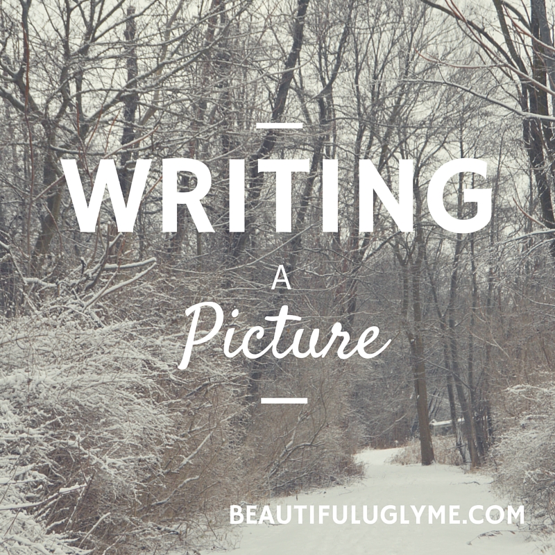 Writing a Picture