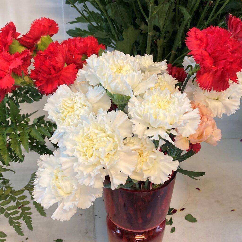 BLOOM ROOM FLOWERS SHOP Beautiful Vlora