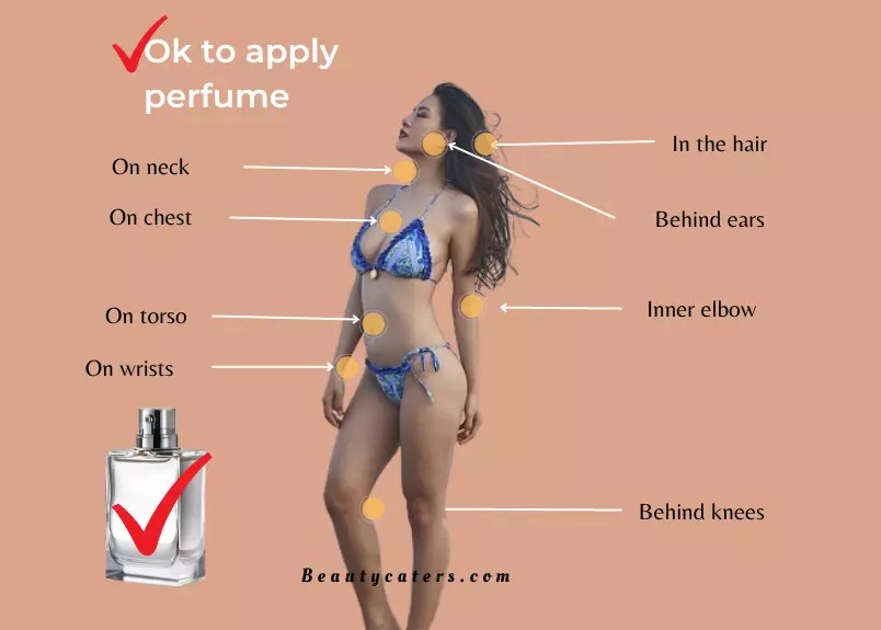 How to apply cologne or perfume correctly 2024