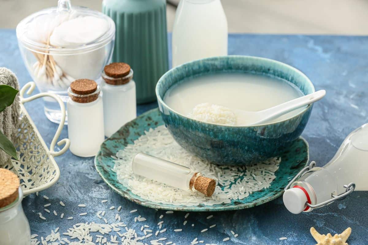 7 Best Rice Water LeaveIn Conditioners