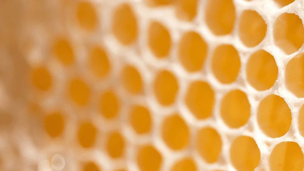 These 3 Benefits Of Beeswax For The Skin Are Effective