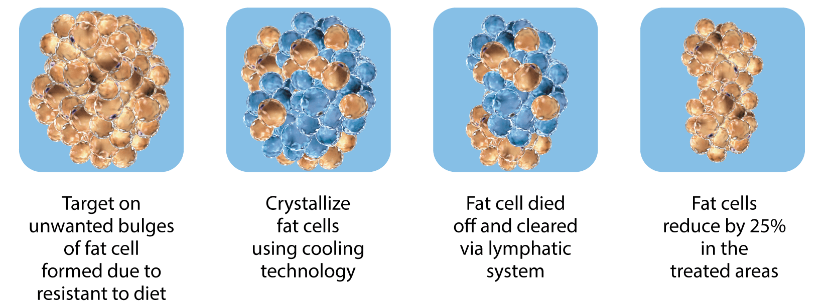 Cooltech - Beauty & Co
