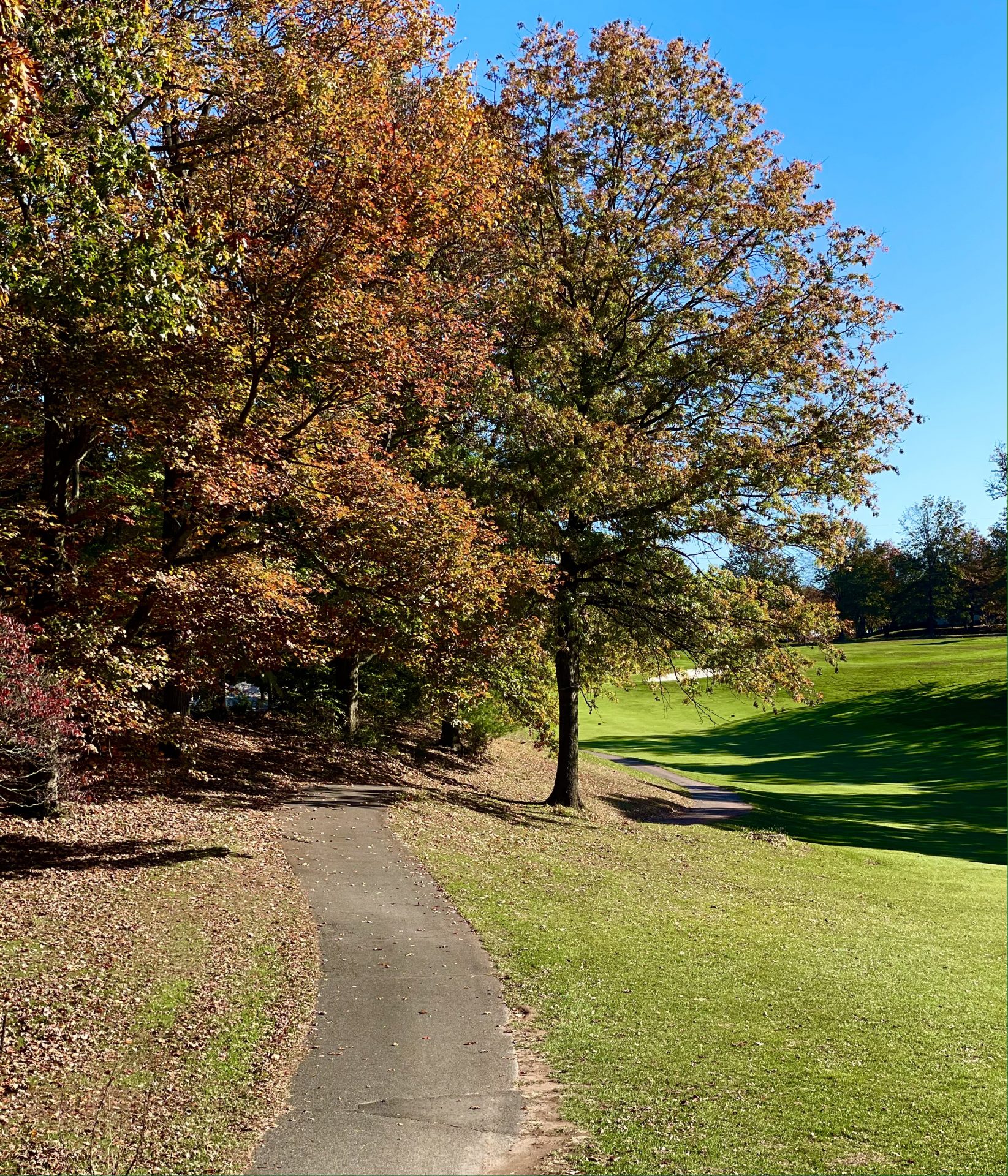 Golf Course Beaver Brook Country Club