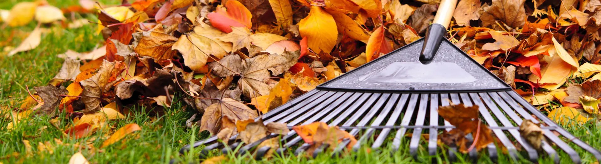 End of Street Sweeping, Start of Leaf Pickup City of Beaver Falls