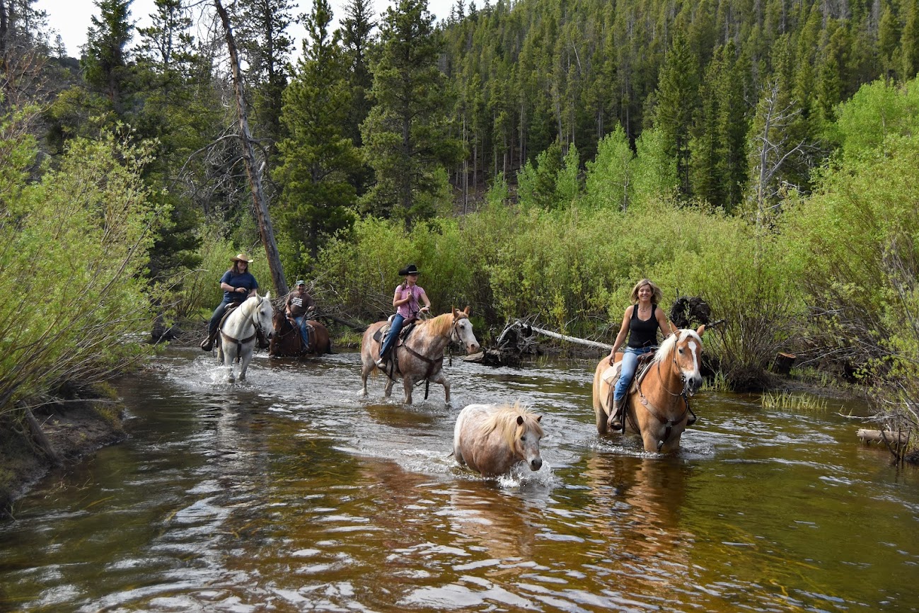 Beaver Meadows Stables guided horse back riding Roosevelt National Forest