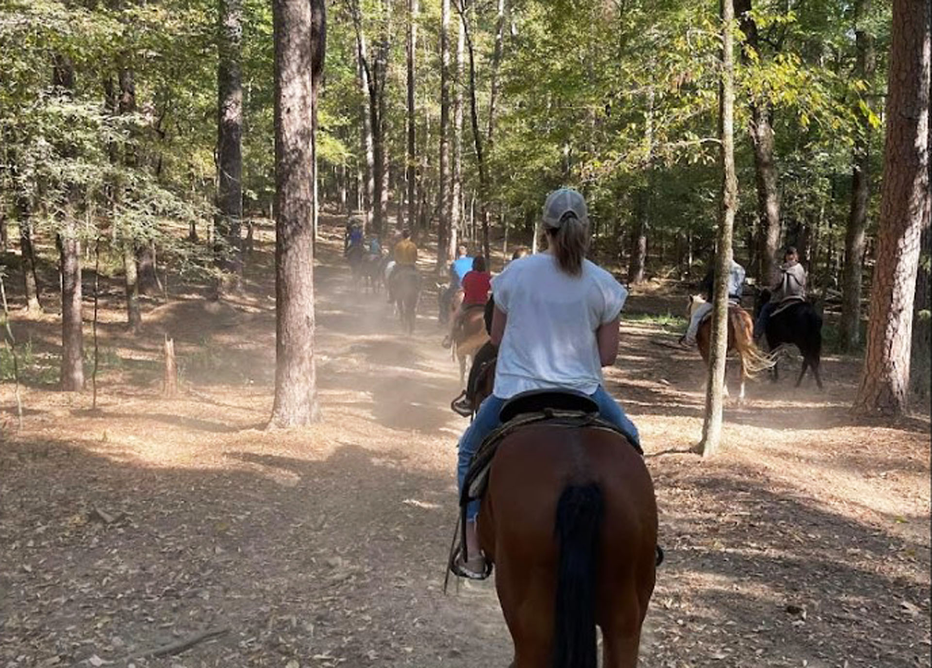 Beavers Bend State Park in Beavers Bend Oklahoma. Beavers Bend Area