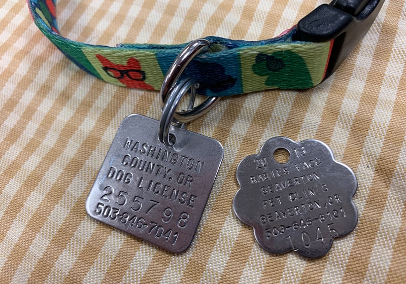 How Do I Get A Replacement Rabies Tag For My Dog