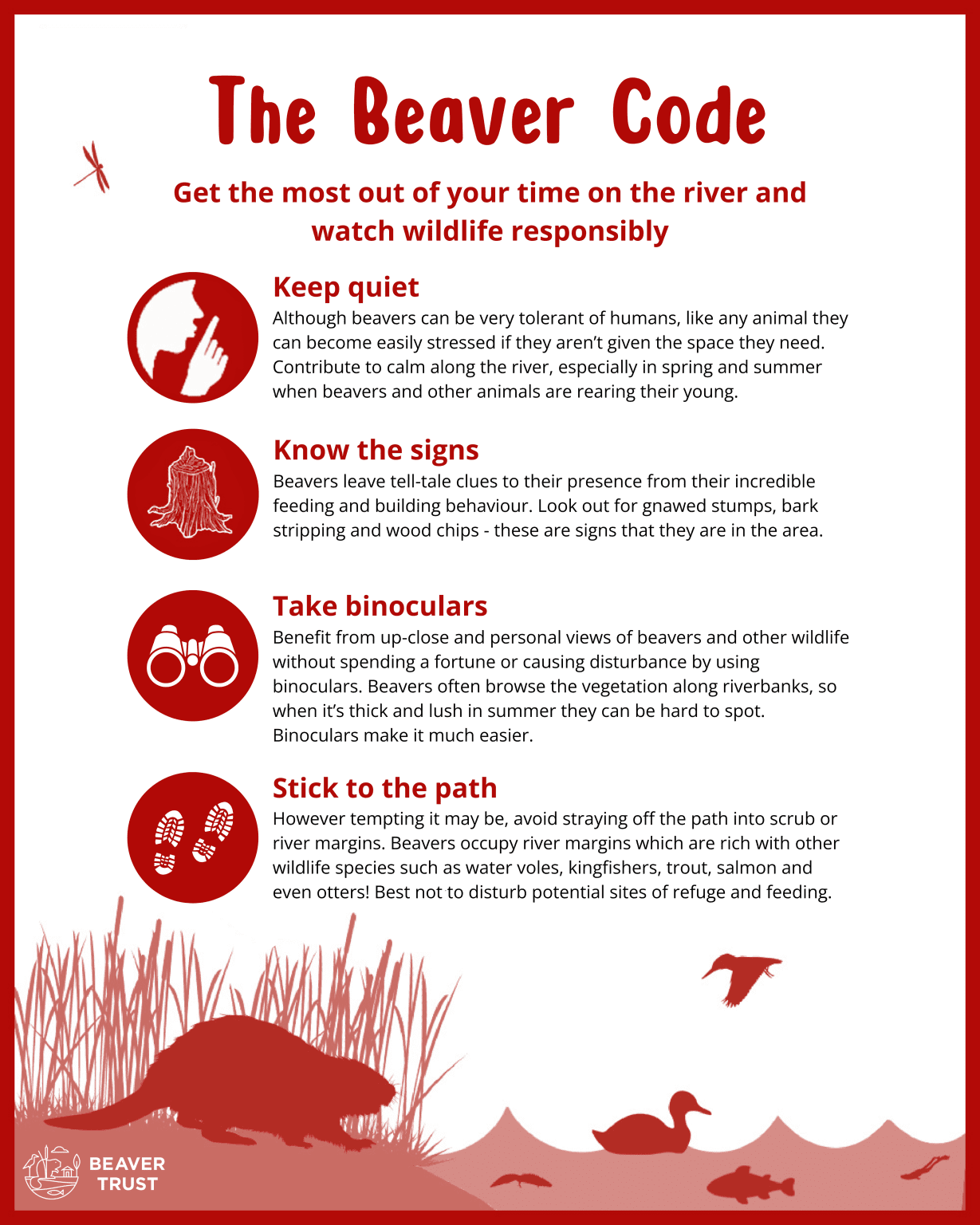 Places to see beavers Beaver Trust