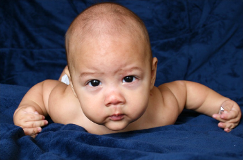 Desarrollo del bebé 5 meses Bebé feliz