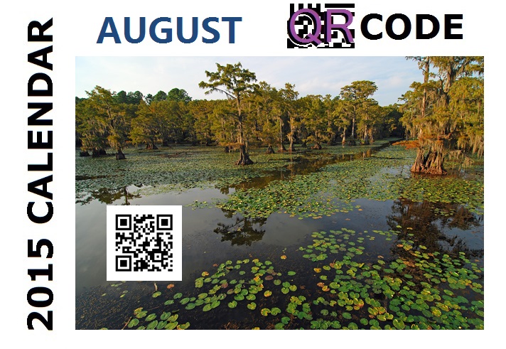 august-2015-qr-code-bebtexas