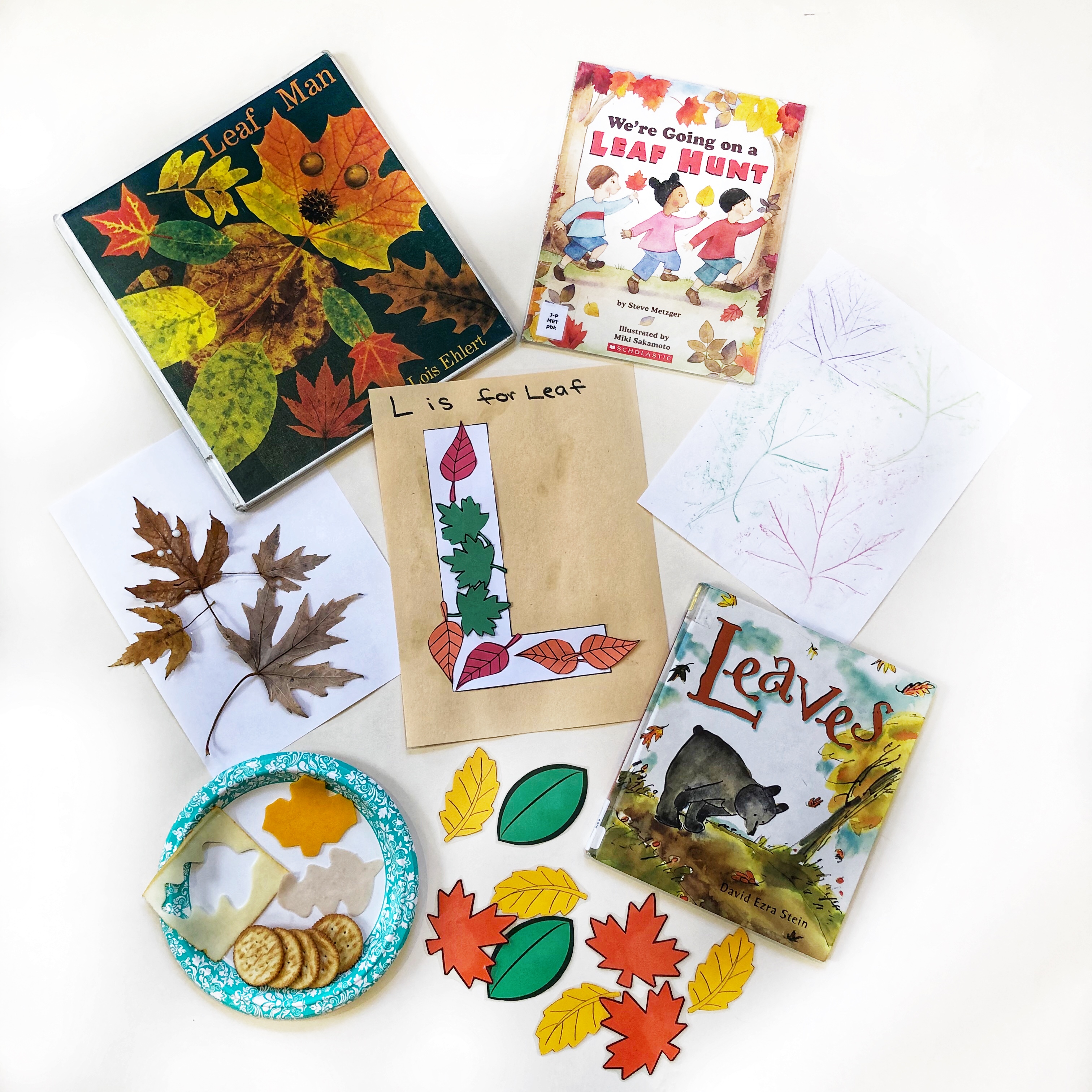 L is for Leaf Lesson