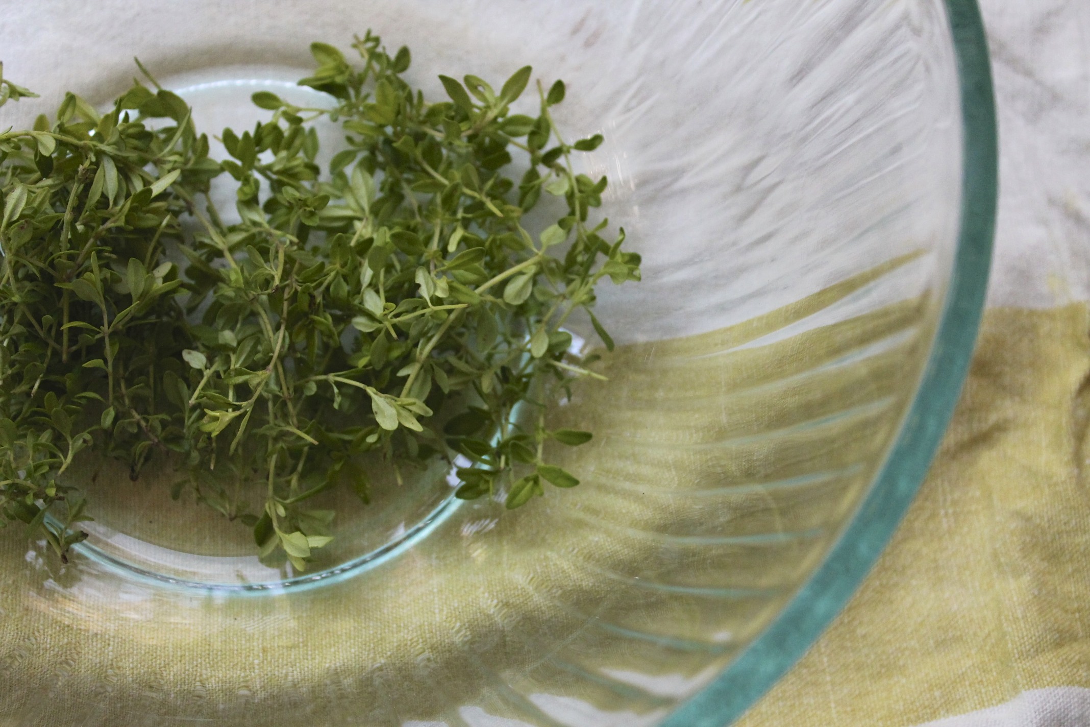 Thyme + Tea Tree Healing Tonic Becca Piastrelli