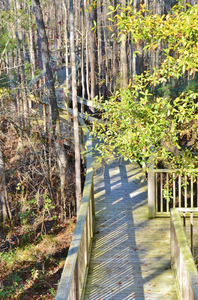 Collins Creek Landing Clubhouse BEC Construction