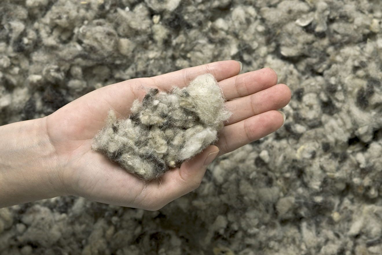 Sheep's Wool Insulation in Batts and Loose Fill BEC Green
