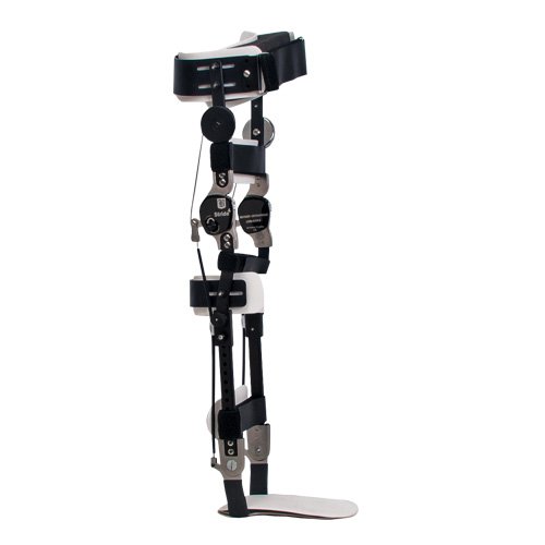 Knee Joints Becker Orthopedic