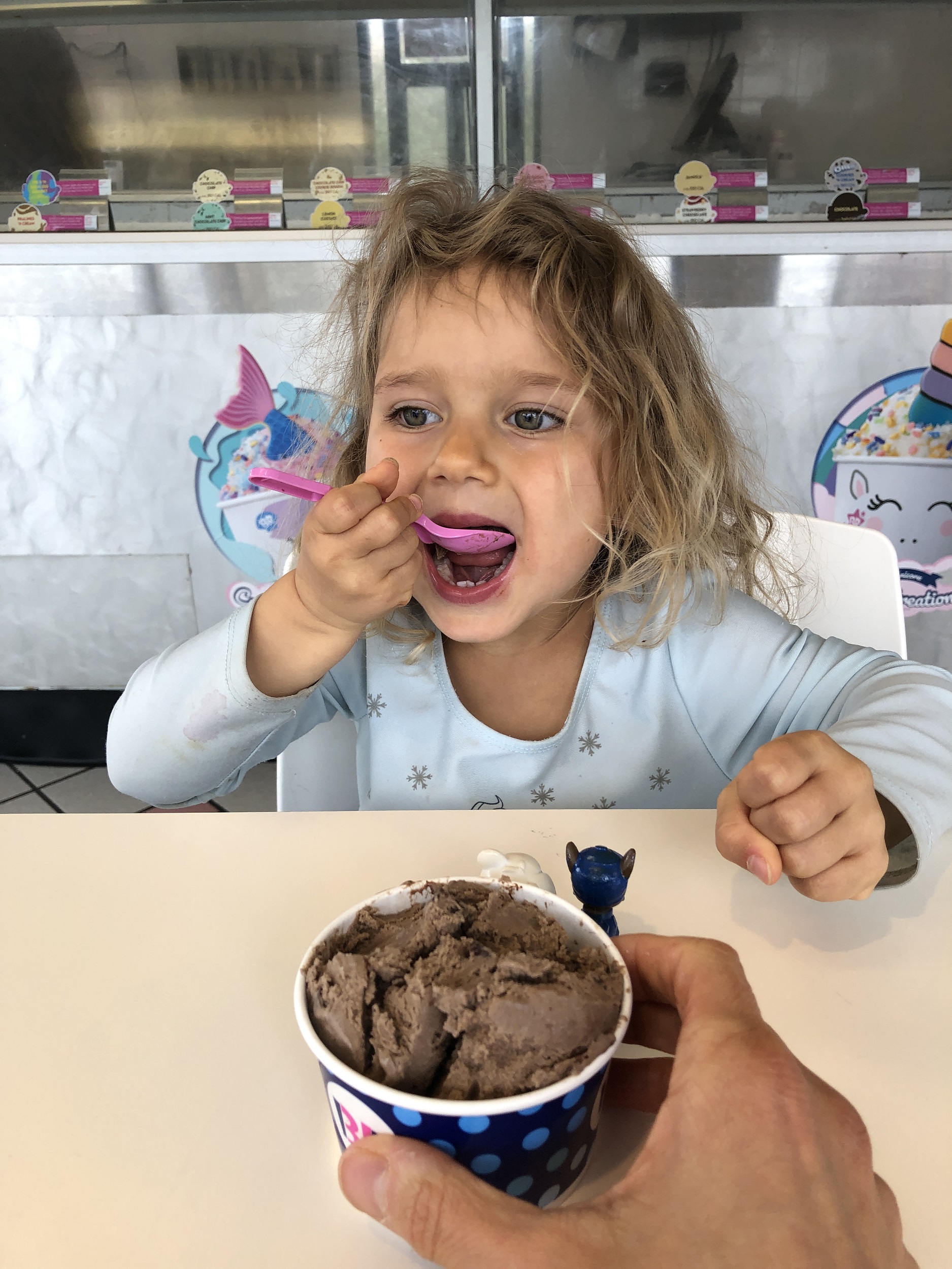 The Best Vegan Ice Cream in Greenville SC Beckhams Abroad