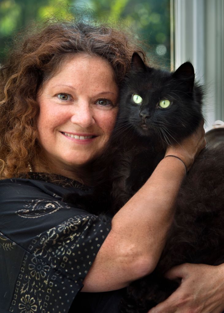 Book Review & Blog Tour Let’s Talk About Cats Conversations on Feline