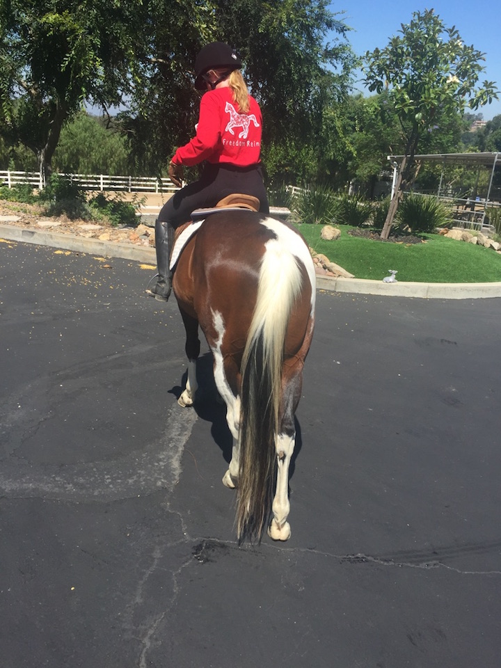 How to Heal a Coronary Band Injury Stanley's Story