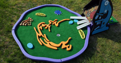 Human Cell Mini Golf - Becky Stern