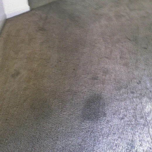 1 Carpet Cleaning Dublin Carpet Cleaning Services BCS