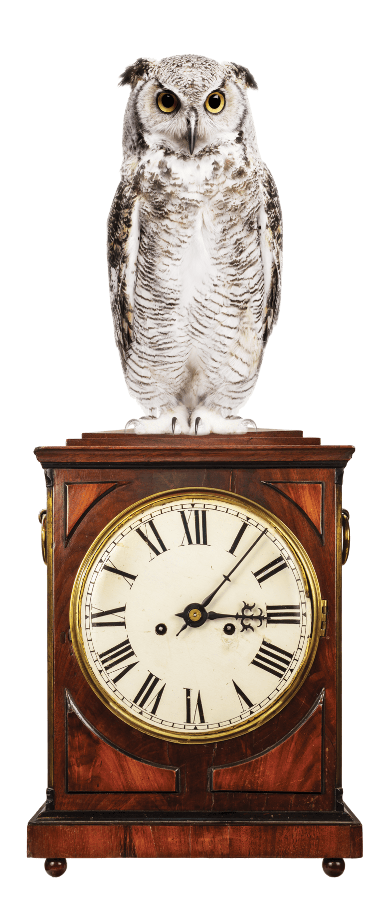 Restoration Services for Antique Clocks, Nashville Metropolitan Area