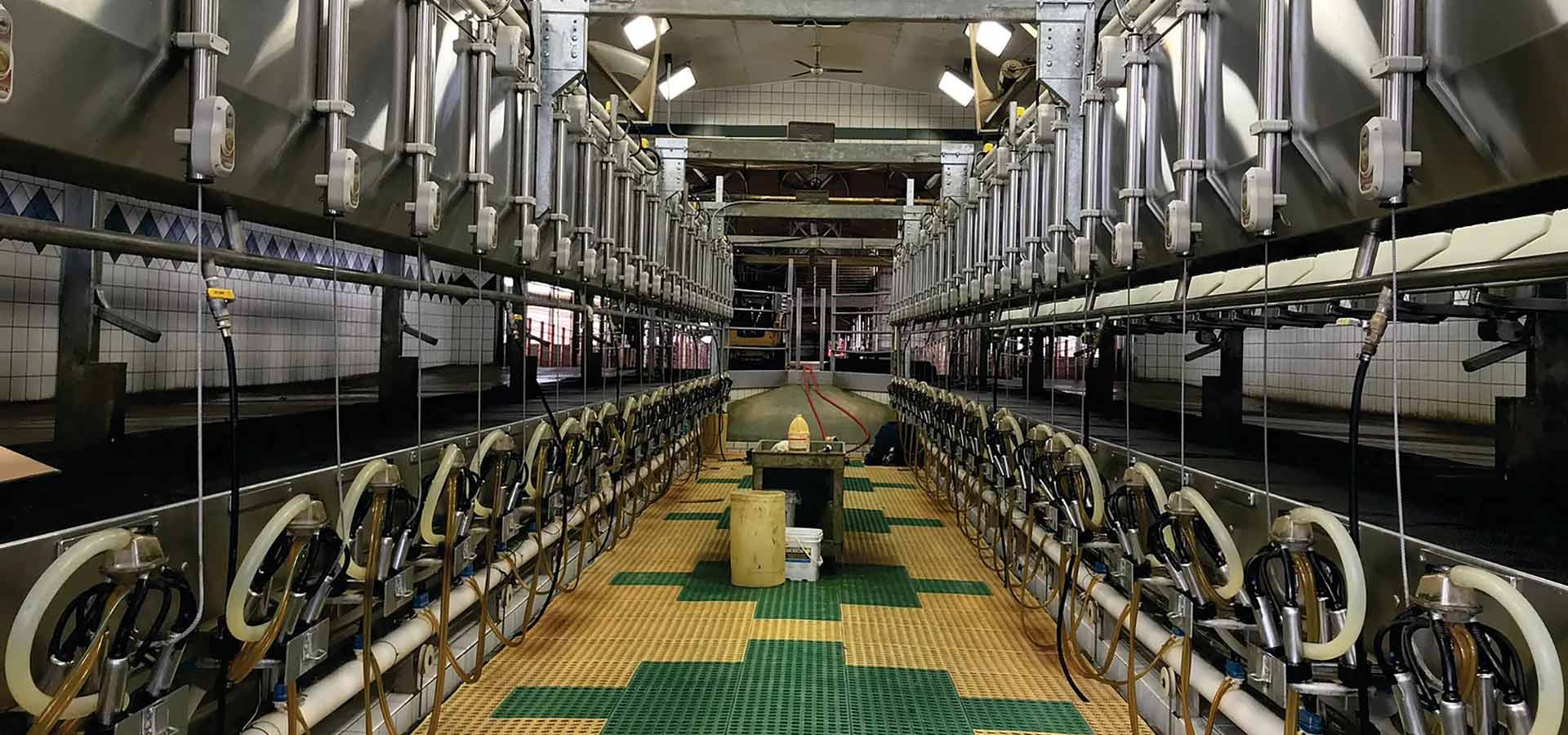 Our Products BECO Dairy Automation Inc.