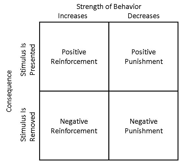 Operant Learning for Dogs a Professional Dog Trainer