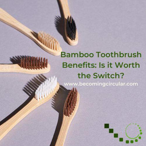 Bamboo Toothbrush Benefits Is it Worth the Switch? circular