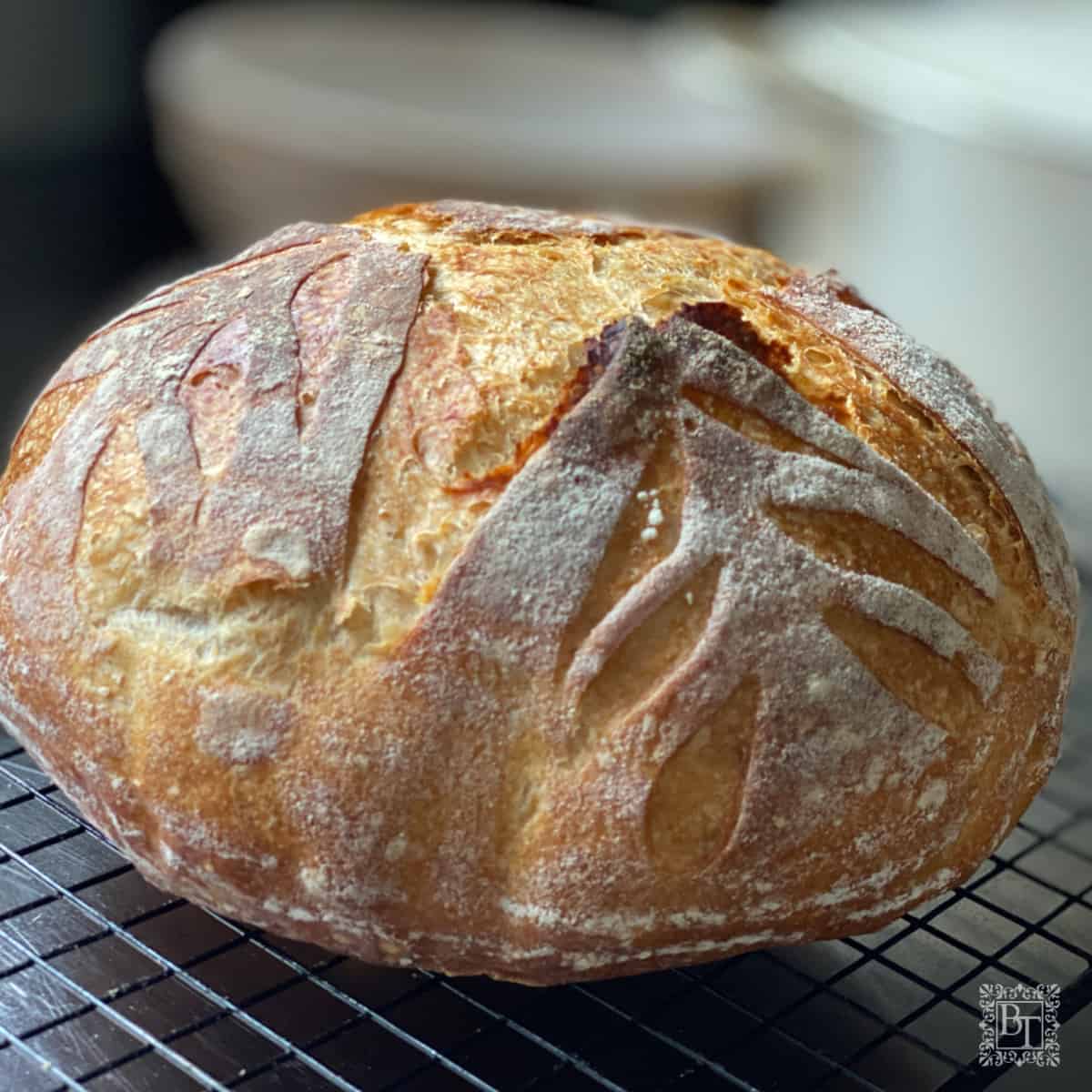 Sourdough
