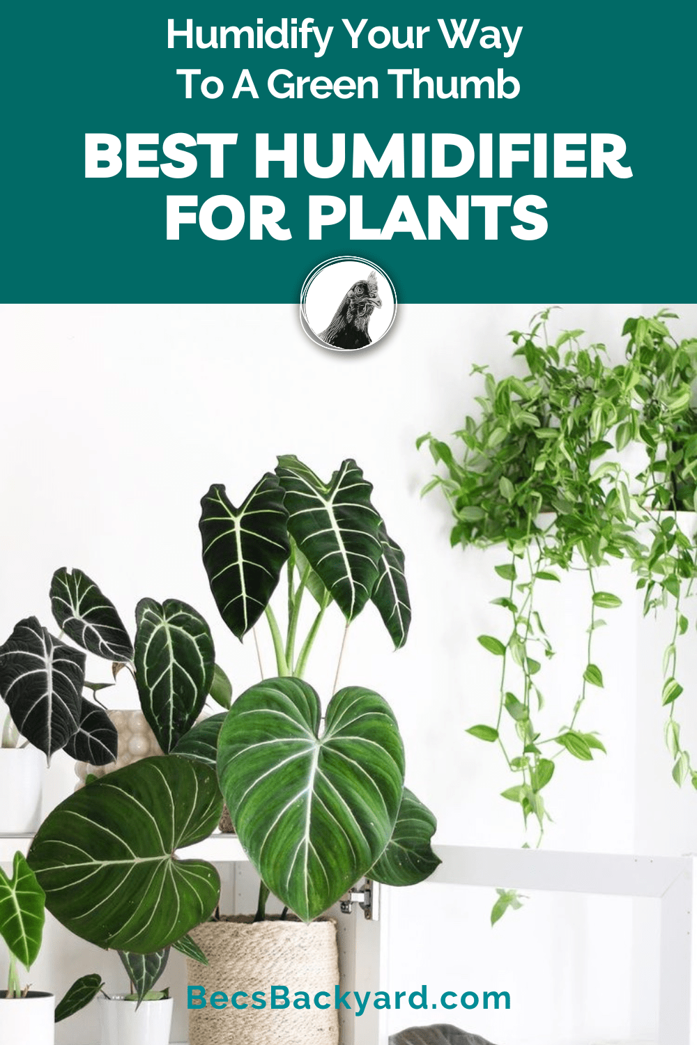 Humidify Your Way to a Green Thumb The 3 Best Humidifier for Plants in