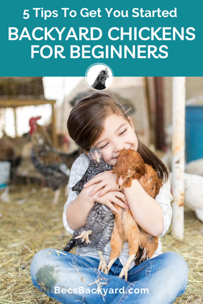 Backyard Chickens For Beginners 5 Tips To Get You Started